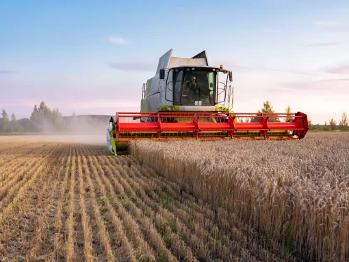 Agricultură intensivă
