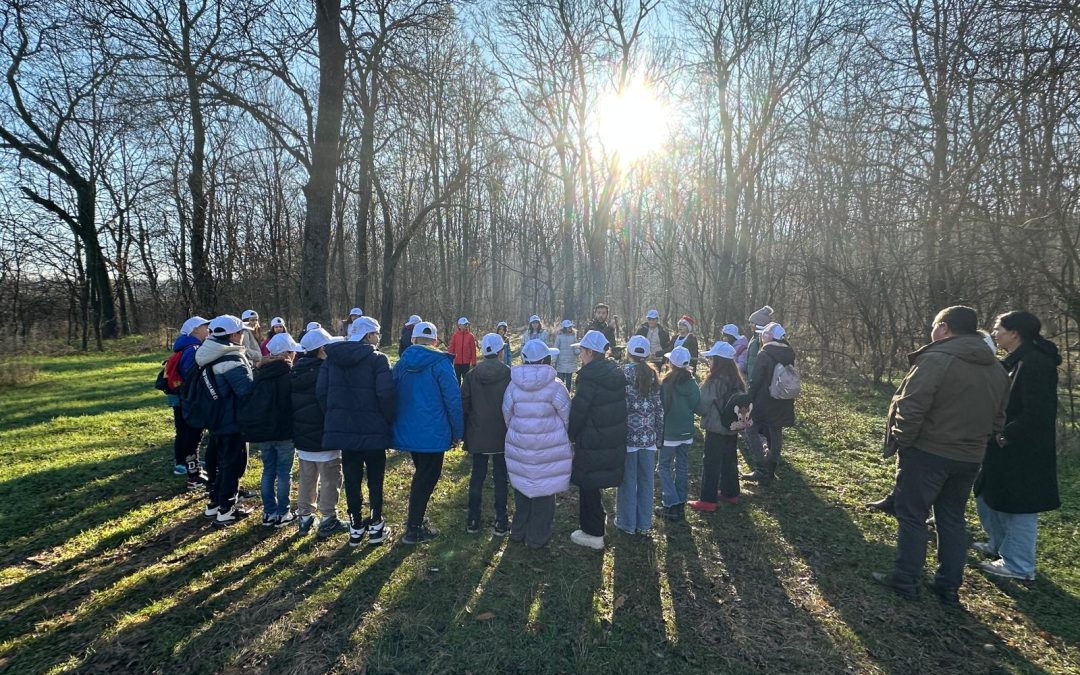 Elevii claselor a IV-a L și K în Parcul Natural Comana