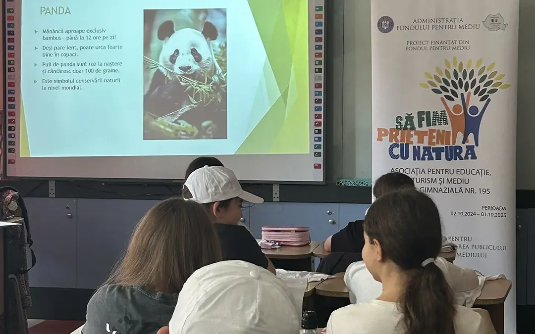 A doua acțiune din cadrul Activității V – „Adoptă un animal virtual”